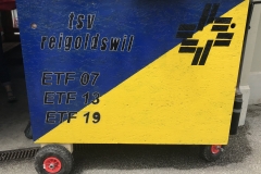 Eidgenössisches Turnfest Aarau 2019 Aktive