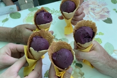 Gönner- und Ehrenmitgliederausflug 2021